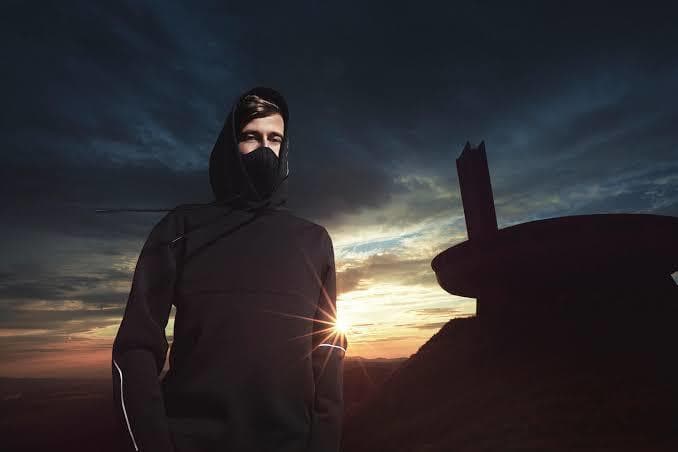 Alan Walker Donates $100K To MrBeast’s Team Trees Campaign